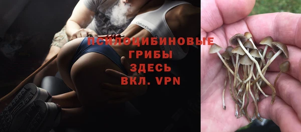 молекула духа Алзамай