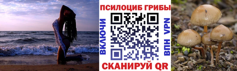 Галлюциногенные грибы Psilocybine cubensis  Старый Крым 